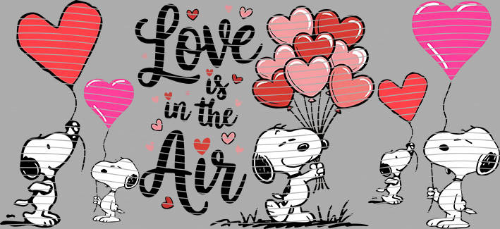 16oz Valentine-J8-903